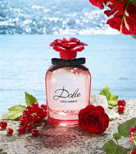 dolce gabbana rose harrods